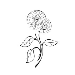 ornament 1706. two stylized dandelion flowers on stems with leaves in black lines on a white background