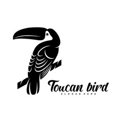 Toucan bird vector illustration design. Creative design © jon studio