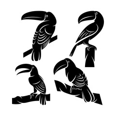 Set of toucan bird vector illustration design. Creative design © jon studio