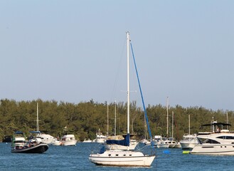 Sailboat and other boats parked  in Key Biscayne bay. Brickell Downtown cityscape in the...