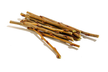 cut currant twigs close-up on a white background