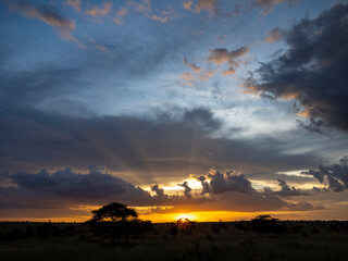 Serengeti National Park, Tanzania, Africa - February 29, 2020: Cloudy Sunset over the Serengeti