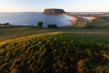 Lush green grassland around The Nut, Stanley, Northwest Tasmania