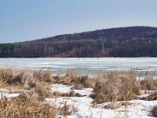 Spring frozen river, thin ice with fishermen on it, dry yellow reeds on a sunny day