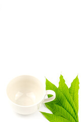 Empty white coffee cup and mango leaves on white background.