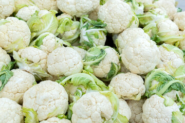 Cauliflower inflorescence. Vintage of cauliflower. background, texture