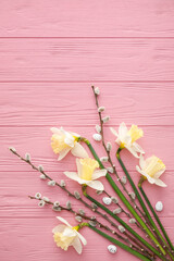 Beautiful daffodils and willow on color wooden background