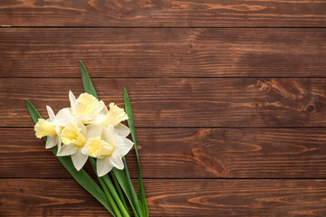 Beautiful daffodils on wooden background