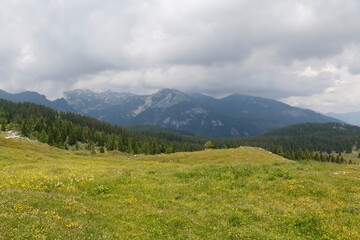 high mountain meadows of Velika Planina, Slovenia