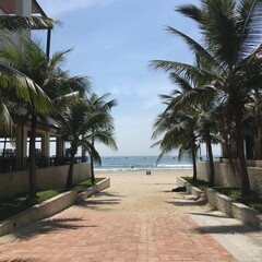 맑은 하늘과 바닷가