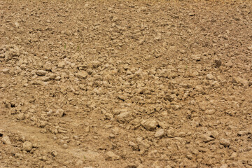 texture of soil plowed in rice field with natural light
