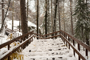 Long wooden staircase in the national park.