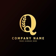 Alphabet capital logo creative design luxury concept with leaf ornament silhouette for