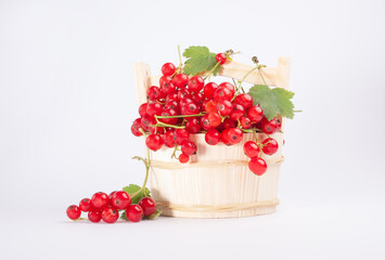 Red currants in a basket isolated on white background 
