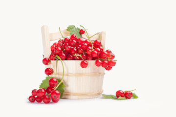 red currant in a basket