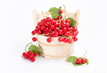 Red berries in a basket