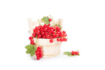 Red berries in a basket