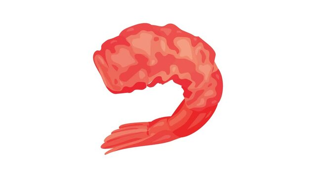 Raw shrimp tail icon animation
