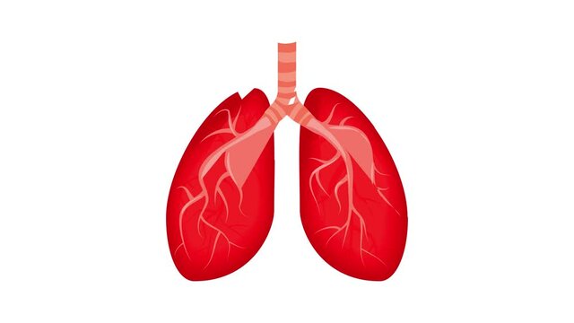 Lungs icon animation