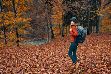 happy young woman with a backpack in jeans boots and a sweater are walking in the autumn forest near the tall trees 
