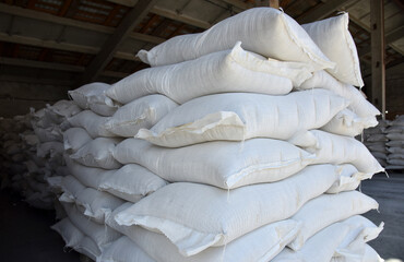 Bags of peas and beans are placed on wooden pallets in straight rows in the warehouse of the processing plant.