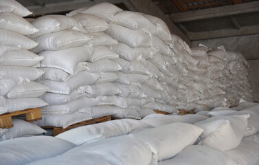 Bags of rice are placed on wooden pallets in straight rows in the warehouse for further transportation.