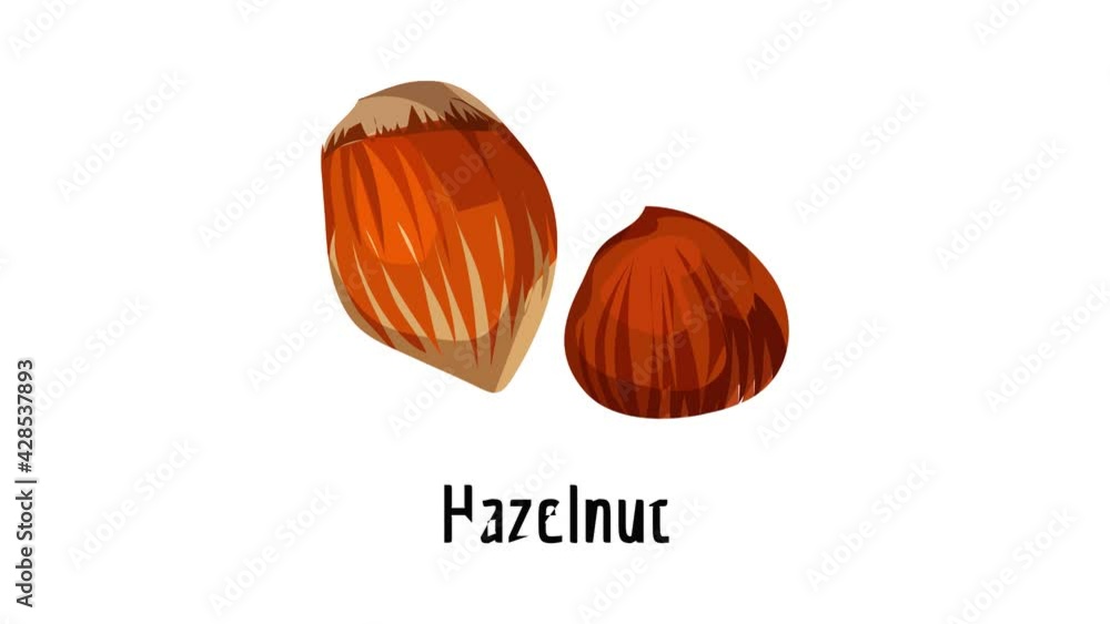 Poster Hazelnut icon animation