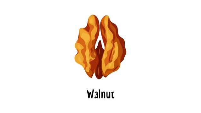 Walnut icon animation