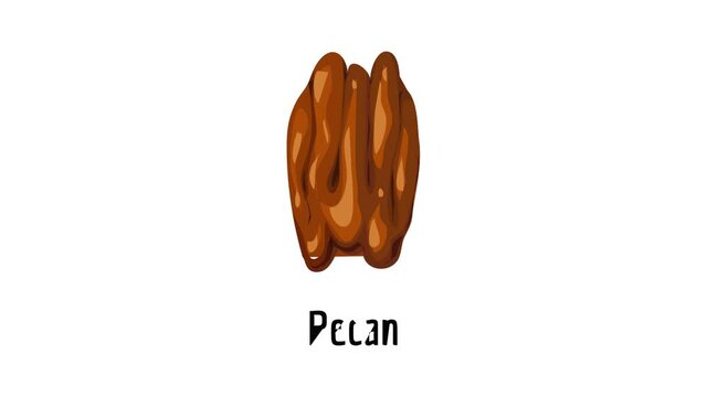Pecan icon animation