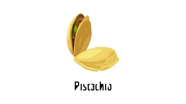 Pistachio icon animation