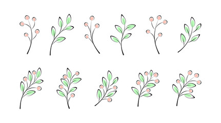 Set of spring and summer twigs, branches with leaves and berries on a white. Vector plant elements for design, decoration, sign, label, emblem, print for t-shirt, clothing and bags. Design template