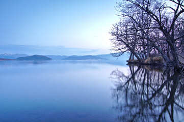 淡い青色の夜明けの湖。