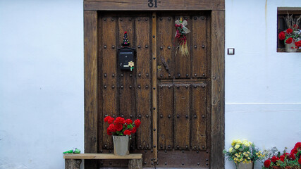 Port&oacute;n de entrada a una casa de Herv&aacute;s. Espa&ntilde;a