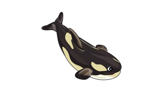 Orca whale icon animation