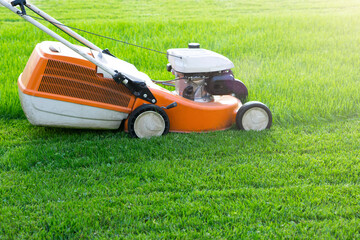 Fototapeta premium Lawn mower cutting green grass in backyard, mowing lawn