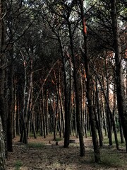 Panorami e paesaggi del Cilento