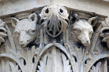 Wolf head capital