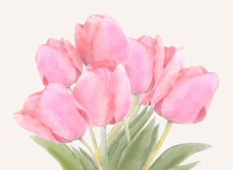 Pink flowers tulips bouquet, light vintage design for print invitation, card, wrapping paper. Watercolor hand drawn floral background for wedding, spring holidays, fabric, Valentine Day. 
