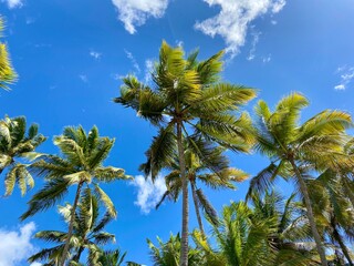 Karibik Insel St.Lucia