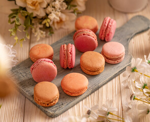 Macaron sweet meringue sandwich cake