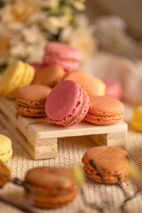 French macaron cookies