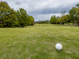 golf ball on the course