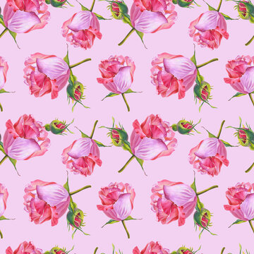 Watercolor roses. Flowers on a Pink background. illustration.Seamless pattern. © lyubovyaya