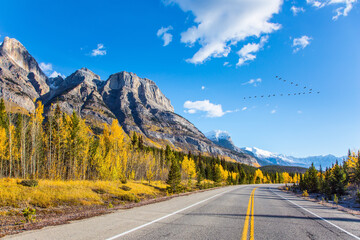 Asphalt highway