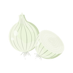 White sweet onions. Fresh ingredient for the dish. Vector stock illustration on isolated white background.