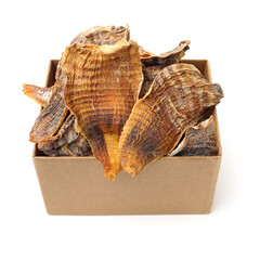 Dry young bamboo shoot on white background