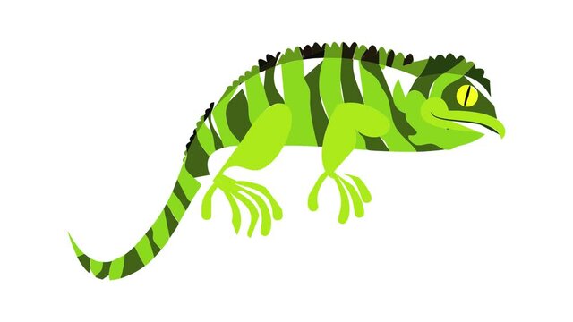 Green chameleon icon animation