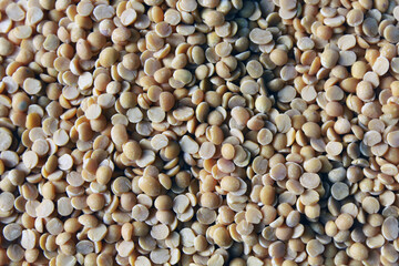 Toor dal, famous Indian legume also called yellow Pigeon peas. Selective focus.