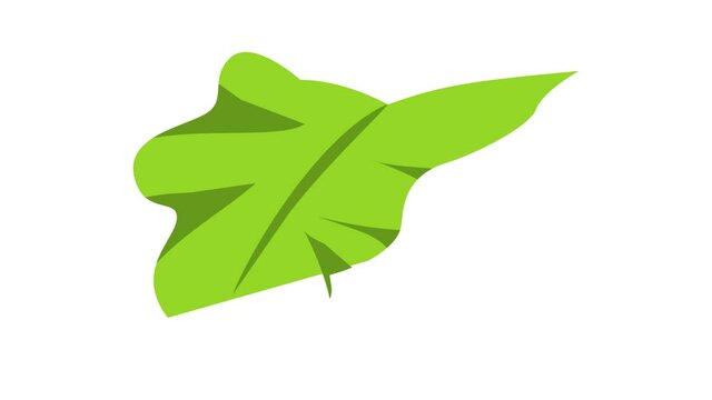 Tropical leaf icon animation