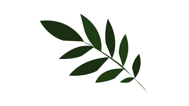 Tropical leaf branch icon animation
